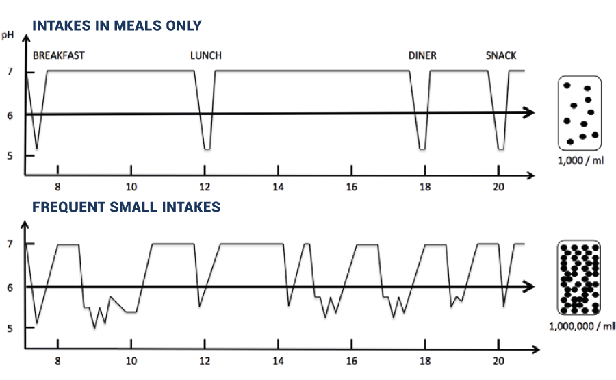 graph showing frequent sugar intake favours bacterial growth