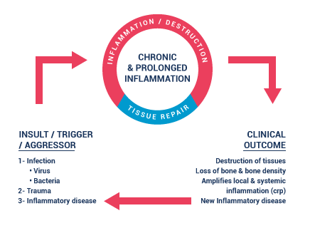 chronic and prolonged inflammation graphic